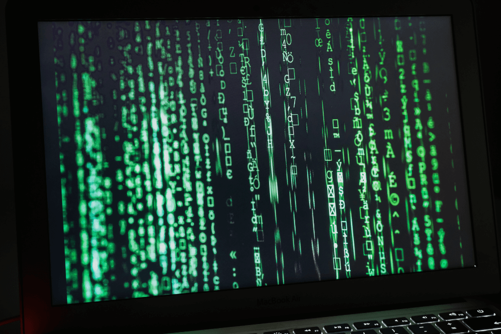 Programy Matrixa